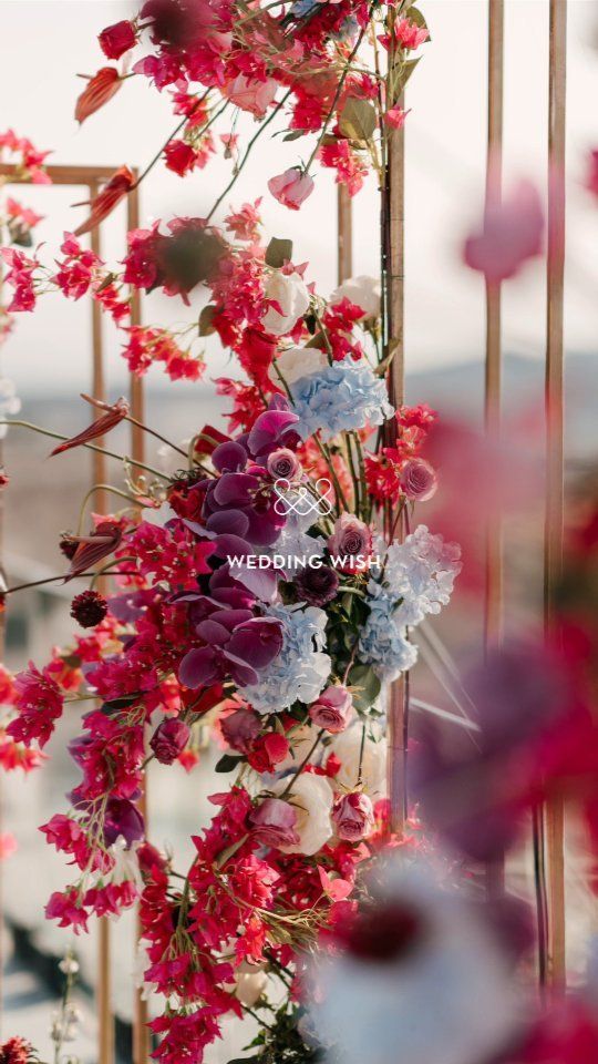 Here is to the dreamiest🌟BOUGAINVILLEA🌟 setup!
. 
Styling ¦ Art ¦ Flowers @weddingwishsantorini
Photography @phosart.photography
Venue @cavo_ventus_luxury_villa
Planning @stellaandmoscha
.
#weddinginsantorini #destinationwedding #weddingphotographer #wedding #styling #santoriniwedding #santoriniflowers #flowersofinstagram #santorini #greekislands #weddingplanner #summerwedding #weddingarch #weddingdecor #weddingaisle #weddingflowers #bougainvillea #weddingvenue #bridetobe2024 #santorinibride #weddingbackdrop #bougainvilleawedding